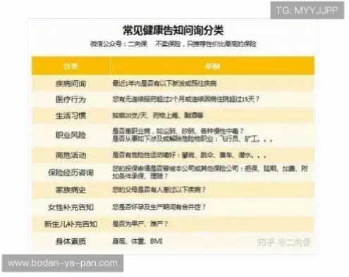 开云体育网址更换频率对账户安全的影响